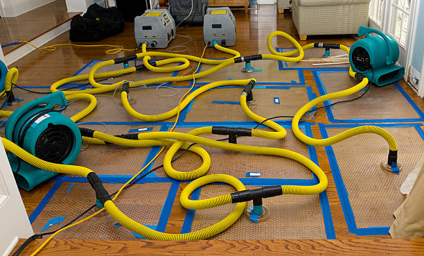 Professional Structural Drying And Dehumidification technician working in Irvine, KY